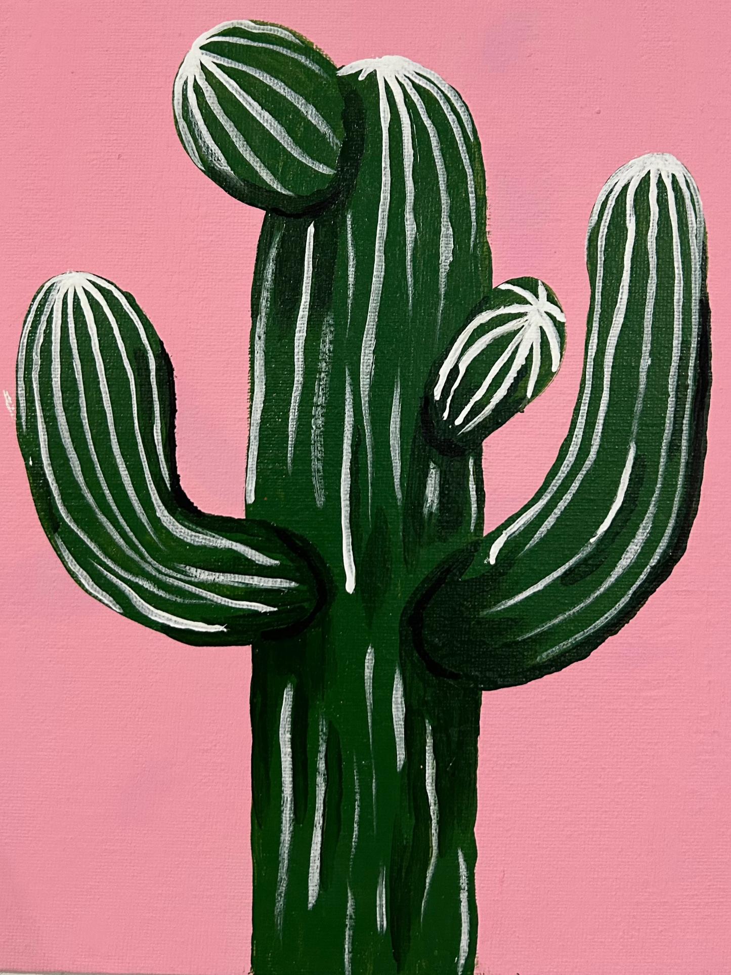 Cactus